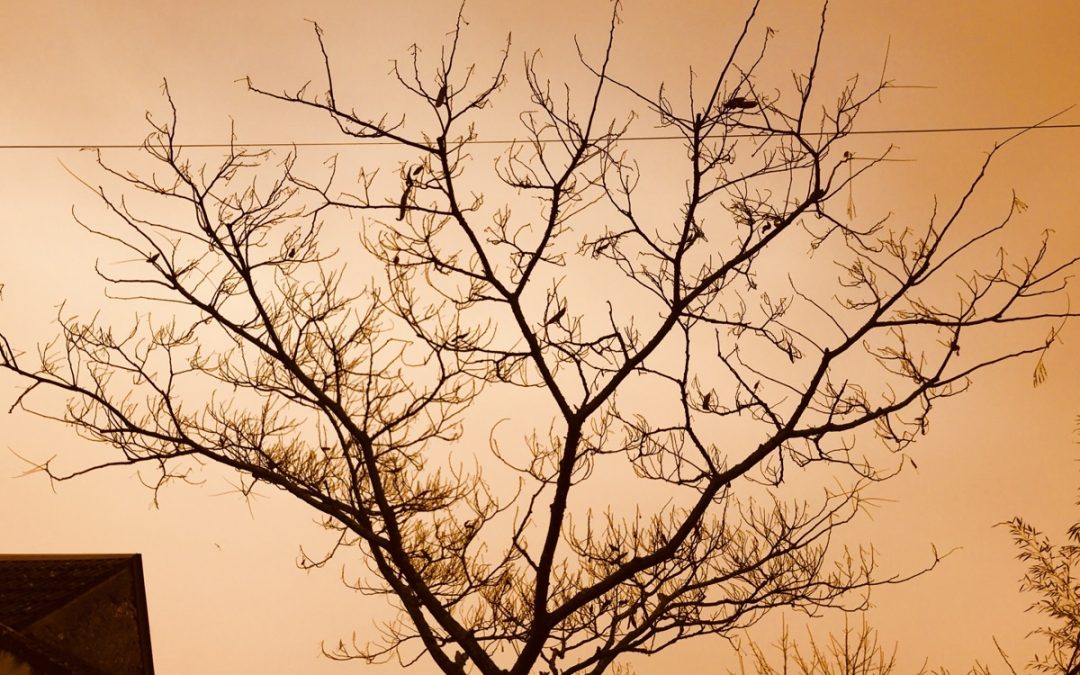 Pourquoi ce ciel jaune &agrave; Orl&eacute;ans ?