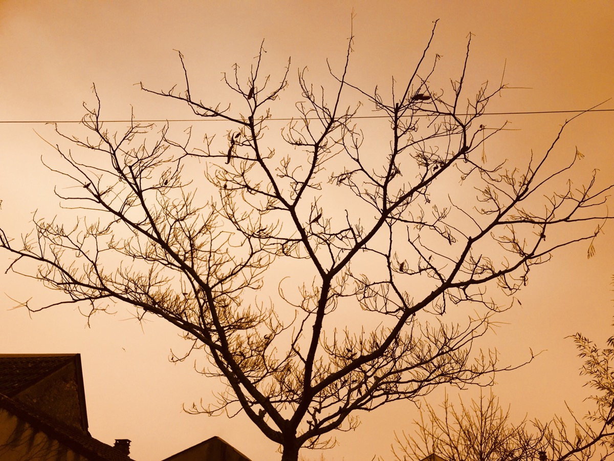Pourquoi ce ciel jaune à Orléans ?
