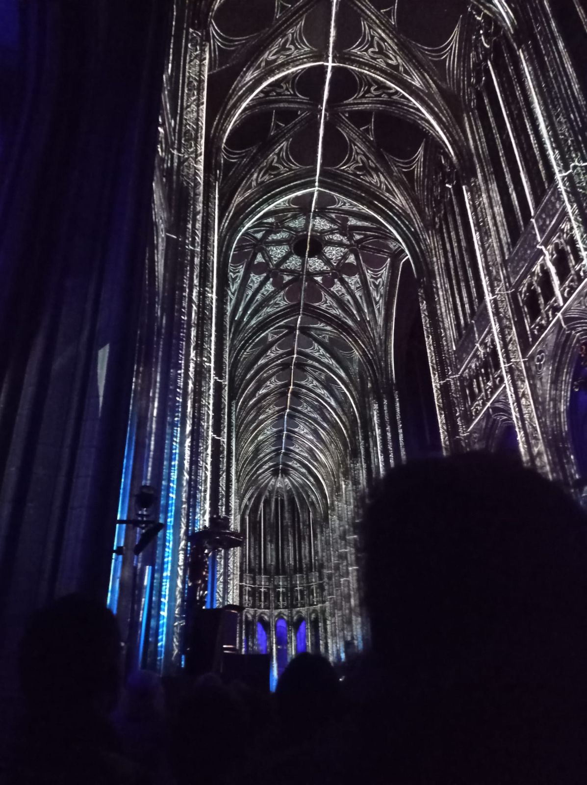 Dessin en noir et blanc de l’architecture projeté sur la voûte de la cathédrale d’Orléans, Luminiscence